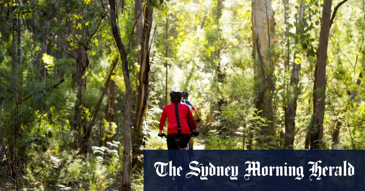 Download Victorian Travel Vouchers $200 PNG - Information ...