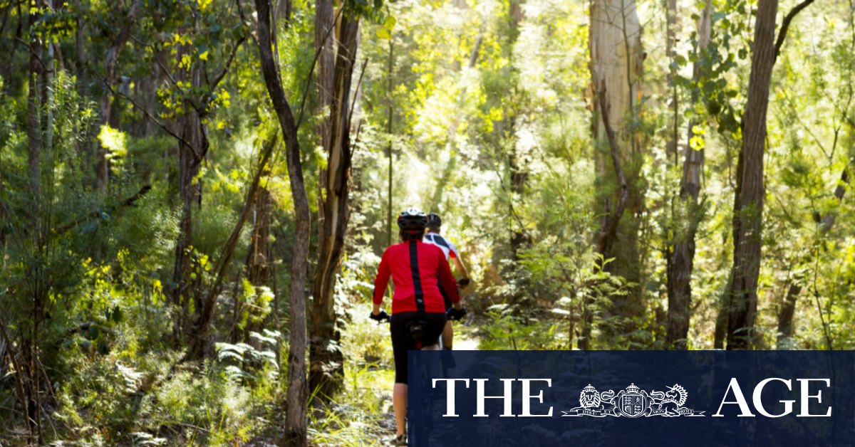 Coronavirus Victoria Premier Daniel Andrews Unveils 200 Voucher Scheme To Spur Regions