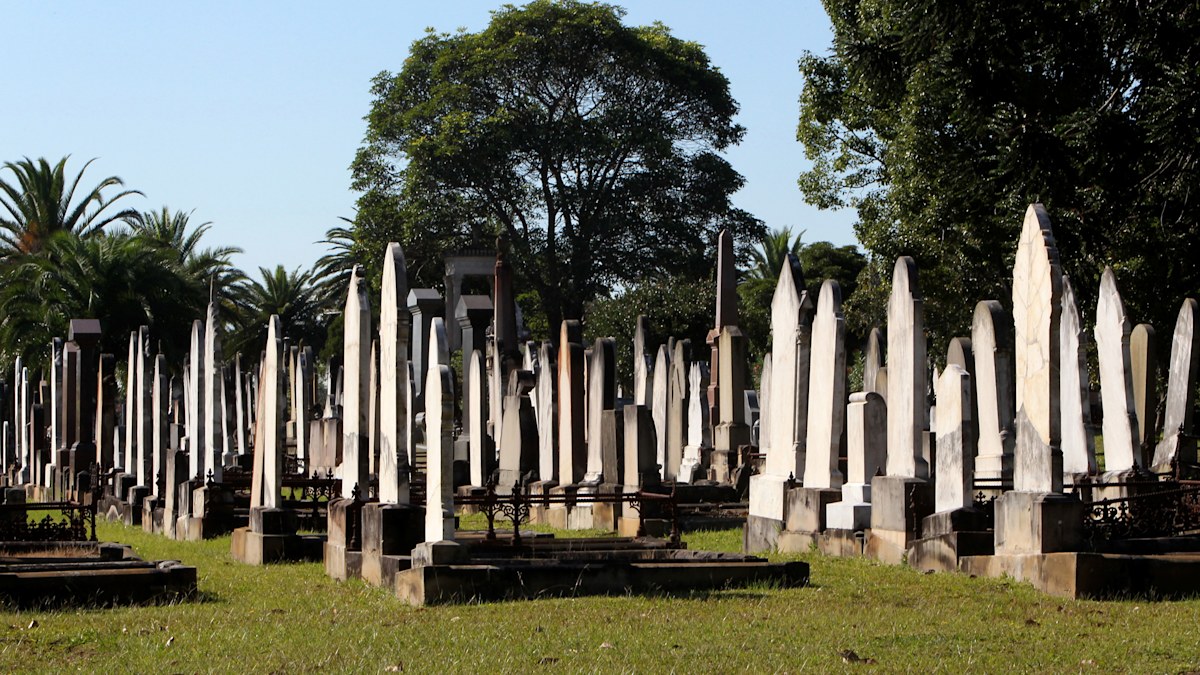Human composting, tree burial: How Aussies are changing funerals 