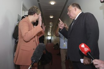 Liberal MP Craig Kelly was confronted by Labor frontbencher Tanya Plibersek in the corridors of Parliament House over his promotion of alternative treatments for COVID-19.