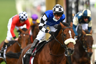 Ashrun won last yearâs Hotham Handicap for Australian Bloodstock.