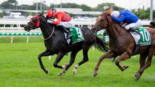 Paulele isn’t without a shout in The Everest.