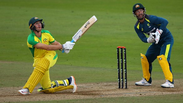 Marnus Labuschagne on his way to a century in an intra-squad T20 match.