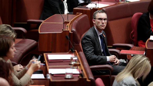 Tim Storer is crucial vote for the government in the Senate.