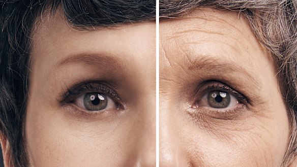 A new AI project offers you the chance to receive advice from a digital version of your older self.