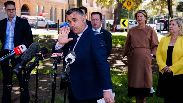 Nationals leader John Barilaro has threatened to leave the Coalition over koala protection laws. 