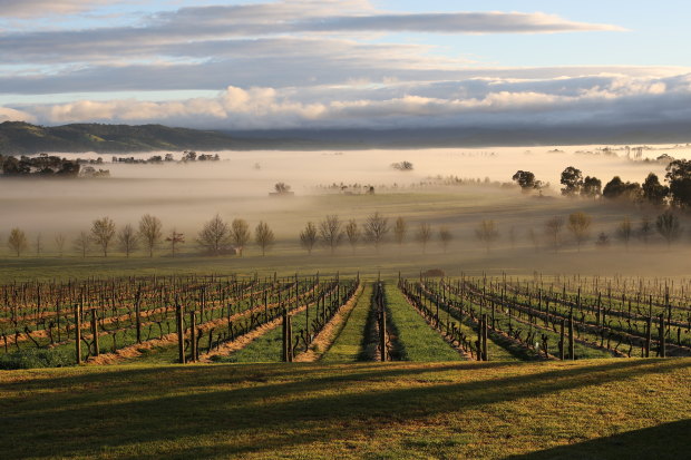 Mount Mary Vineyard in the Yarra Valley.