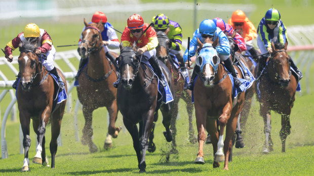 Canterbury will host a seven-race meeting on Wednesday.