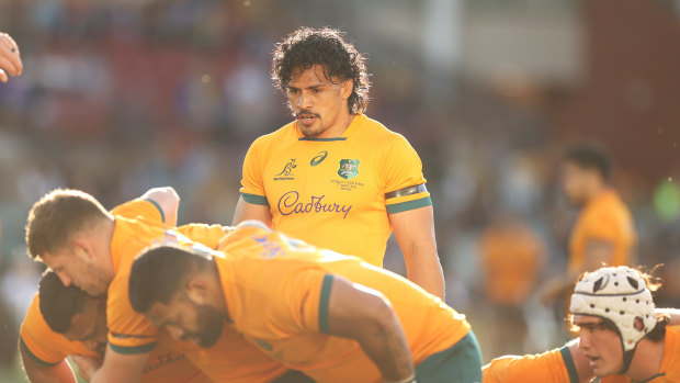 Pete Samu has been in excellent form for the Wallabies off the bench.