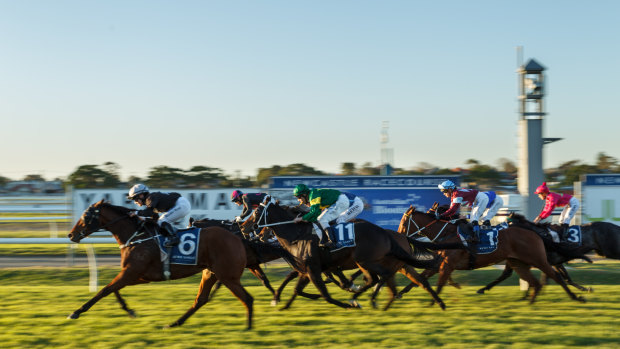 Eight races fill out the card at Newcastle on Thursday.
