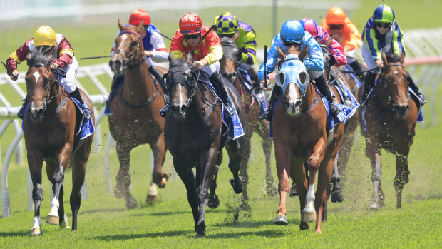 Canterbury will host an eight-race meeting on Friday.