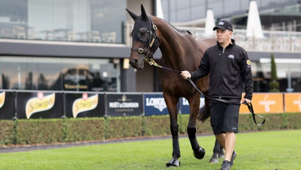 Next step: the breeding barn beckons for Winx after her 33rd and final victory on Saturday.