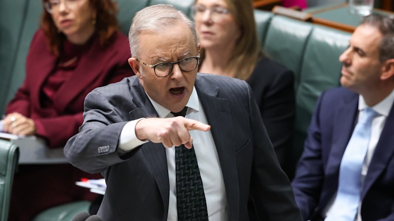 Albanese admits tax changes may hit businesses beyond tech