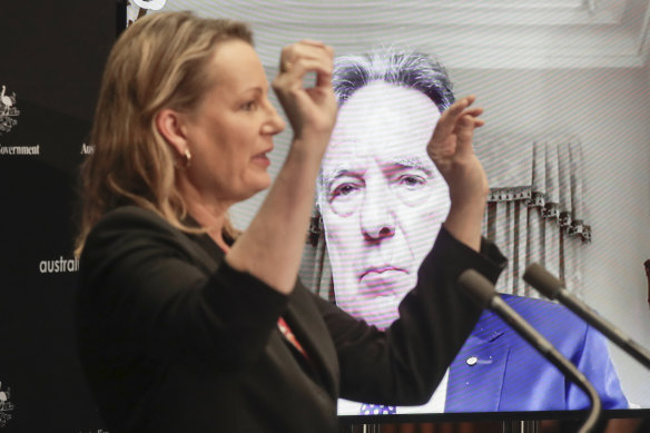 Sussan Ley speaks during the release of the interim report on Monday. Graeme Samuel, who appeared via video link, can be seen in the background. 