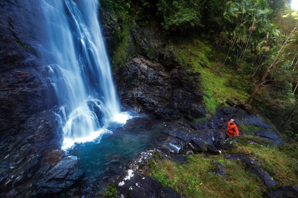 Red Cedar Falls within Dorrigo National Park, an hour’s drive from Coff’s Harbour.