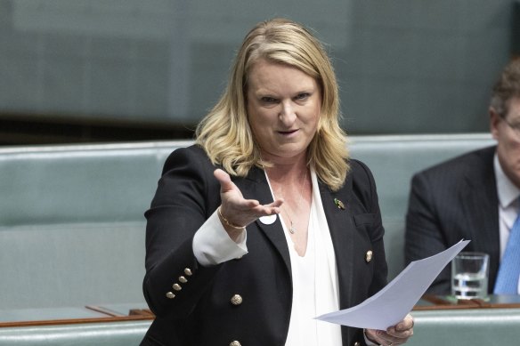 Independent MP Kylea Tink speaks at the end of question time.