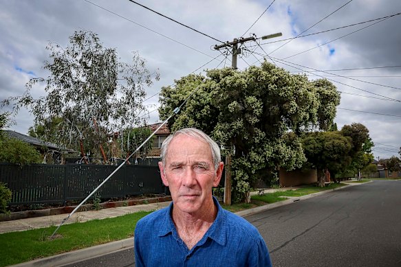 Dr Greg Moore, of the University of Melbourne, says Victoria’s power line clearance regulations destroy too much tree canopy.