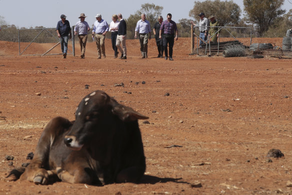 Nationals leader David Littleproud has asked whether the government’s industrial relations bill relates to workers on cattle properties.