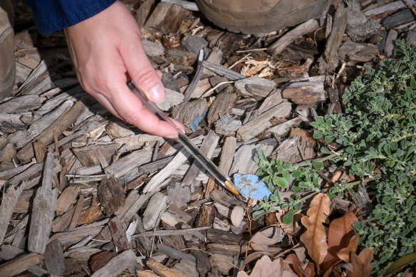 EPA officers inspecting tanbark containing building waste at Donald McLean Reserve.