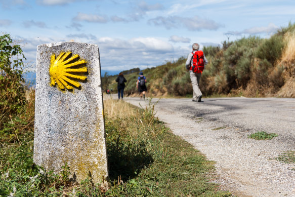 The iconic yellow scallop shells that denote the correct path.