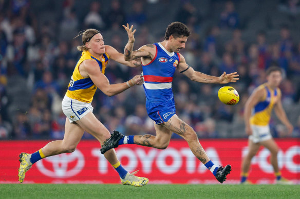 The Bulldogs Tom Liberatore escapes West Coast young gun Harley Reid.