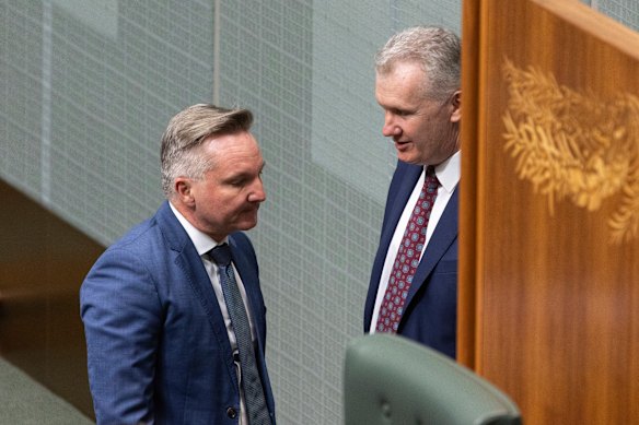 Power players: Chris Bowen and Tony Burke.