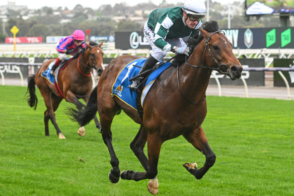 Star colt Growing Empire will represent Yulong in the Everest.