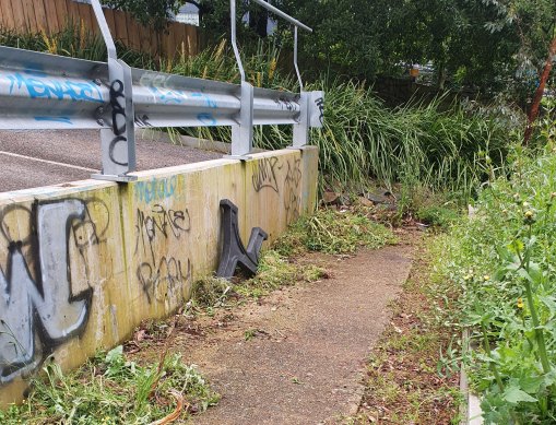 The garden was neglected and overgrown when McSheedy first came across it two years ago.