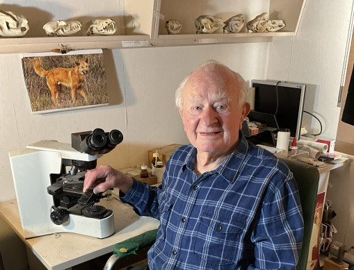 Brunner in his Mornington Peninsula study.