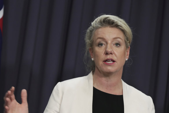 Nationals deputy leader Bridget McKenzie