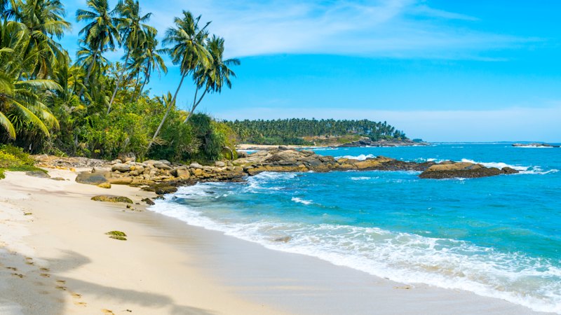 Where’s a good place for family from around the world to meet up?