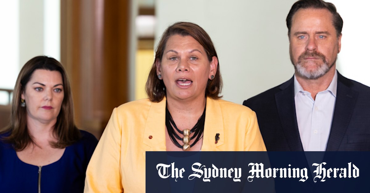 Lidia Thorpe: Greens senator Dorinda Cox cites workplace safety and moves offices - Vimarsana News