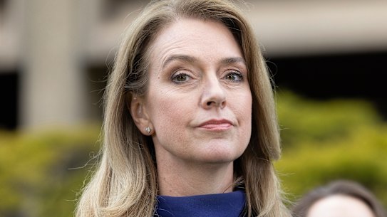 NSW Opposition Leader Kellie Sloane is among many Liberal leading women.