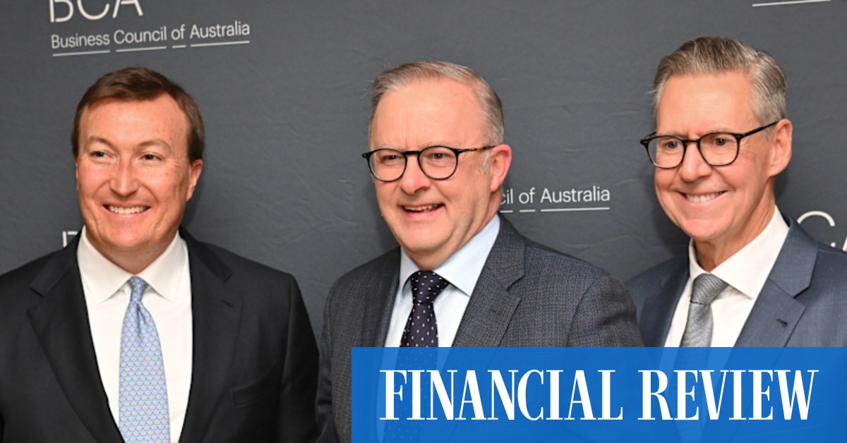 Australia needs incentives to boost business investment to help sustain the community’s increasing reliance on government, the BCA says.