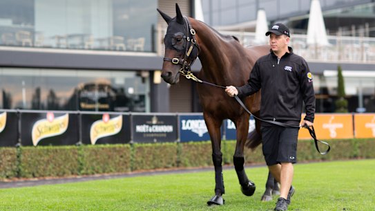 Next step: the breeding barn beckons for Winx after her 33rd and final victory on Saturday.