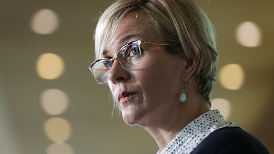 Independent MP Zali Steggall