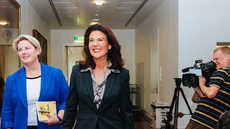 Jane Hume laments ‘crazy’ net zero debate as Liberals race towards crunch talks