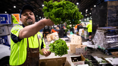 A cabbage for $9? Leafy greens among Sydney’s most expensive veggies