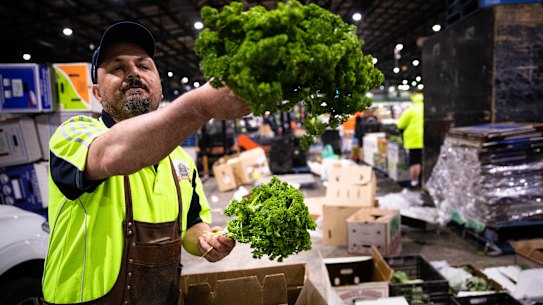 Brian Sammut inspects his produce at the growers market in Homebush West.