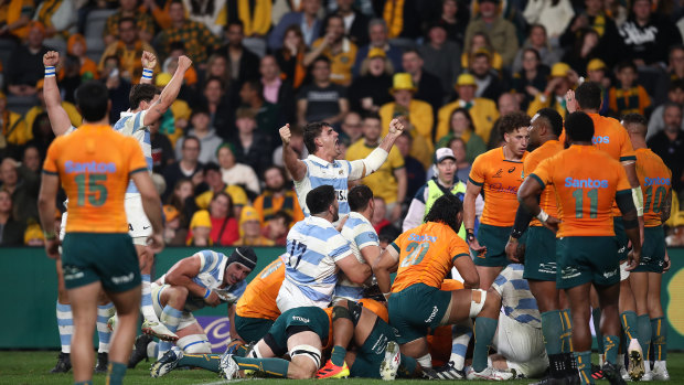 Rugby Championship 2023 as it happened: Heartbreak for ‘gutted’ Wallabies as Cheika’s Pumas pinch last-minute win