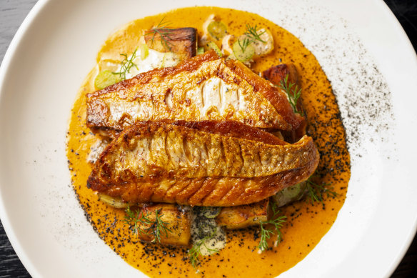 Pesce del giorno, market fish, guazzetto di gamberi, fennel, parsnip.