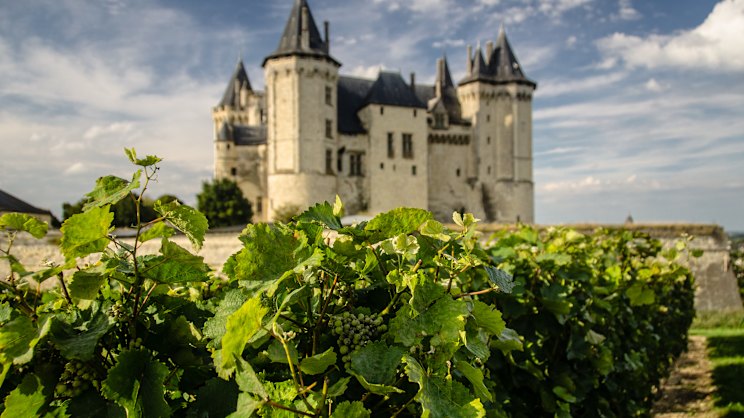 smh.com.au - Ben Groundwater - Forget Bordeaux. This underrated French wine region is calling