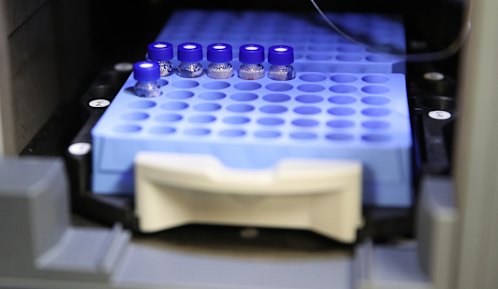 Astra Zeneca vaccine