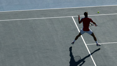 Novak Djokovic remains on course for a golden slam.