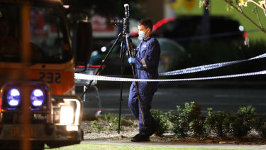 The scene of the Deer Park stabbing on Tuesday night.