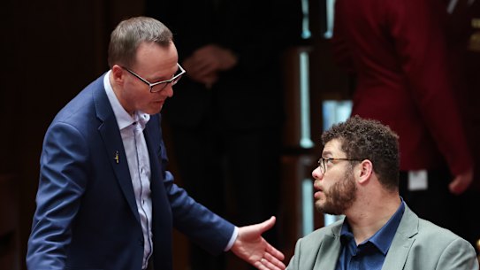 Greens leader Senator David Shoebridge and Senator Jordon Steele-John in the Senate on Thursday. 