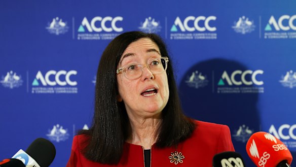 ACCC chair Gina Cass-Gottlieb said the rise of AI-powered bots raised the risk of cartel conduct.