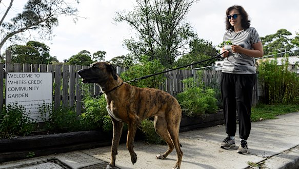 Dog owner Natalie with Chloe at the western edge of Whites Creek Valley park.