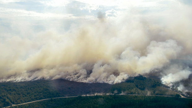 Smoke billows from a fire outside Ljusdal, Sweden last month. The country has been fighting serious wildfires.