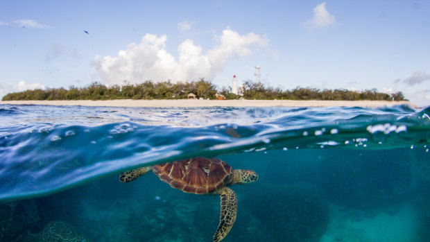 Peter Gash, the managing director of Lady Elliot Island Eco Resort, said Queensland's islands were "precious gems".